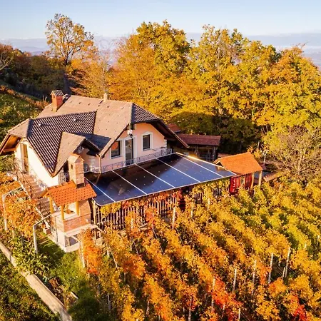 Vineyard Bregac Feriehus Šmarješke Toplice