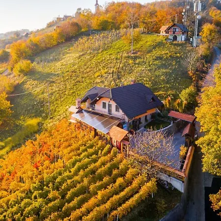 Feriehus Vineyard Bregac