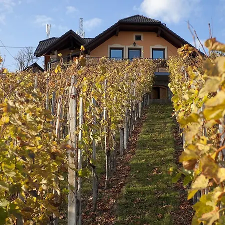 Vineyard Bregac Feriehus Šmarješke Toplice